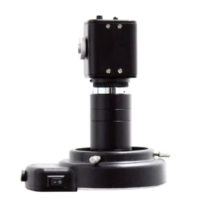 Realists Visualisation